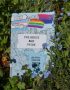 Prejudice and Pride Cover Blue background, an activist holds a sign 'Prejudice and Pride' rainbow flag, signposts to Sidney Street and Waterloo Place